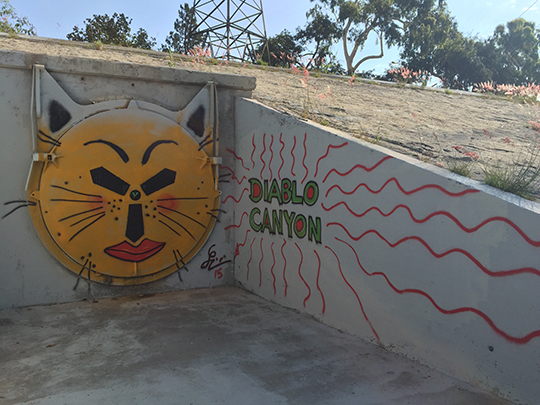 Gatita Diablo Canyon